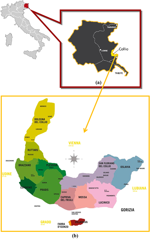 Figure 1 Refer to the image caption for details.
