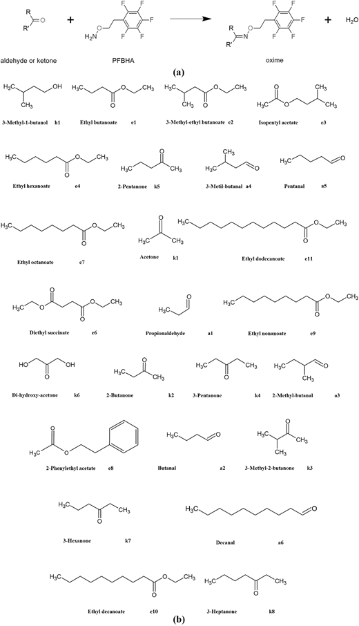 Figure 2 Refer to the image caption for details.