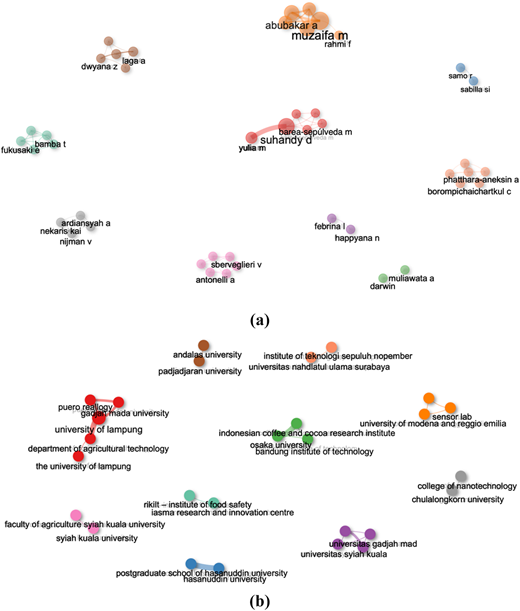 A network diagram in three sections shows clusters of authors, institutions, and countries with connections.