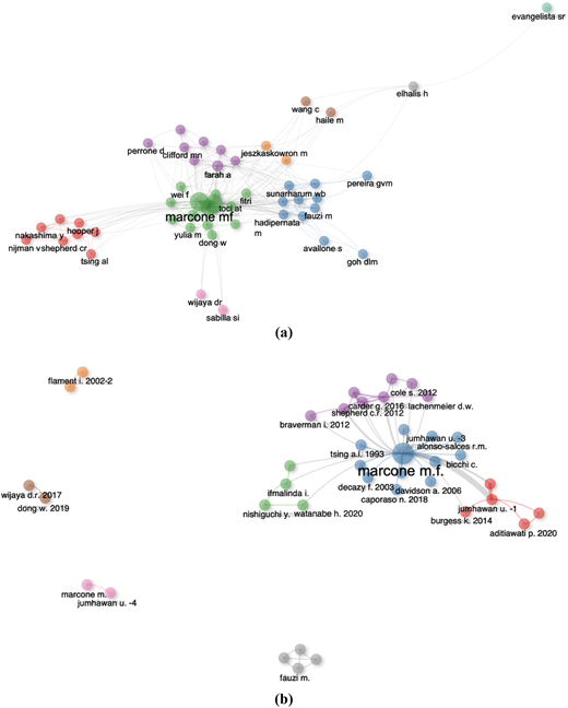 A two-part network diagram shows author collaborations and publication citation clusters with colored nodes.