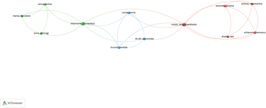 Figure 6 Refer to the image caption for details.