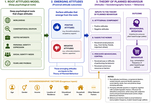 A diagram integrating the Root Attitudes Model and the Theory of Planned Behaviour to explain consumer attitudes and behavior.