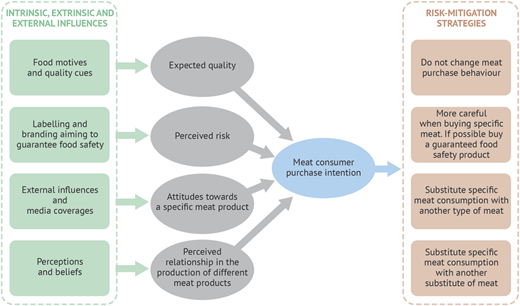 A conceptual model shows influences on meat consumer purchase intention and risk mitigation strategies.