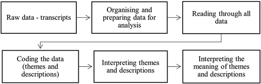 A flowchart illustrates the steps of data analysis from raw transcripts to interpreting meanings.