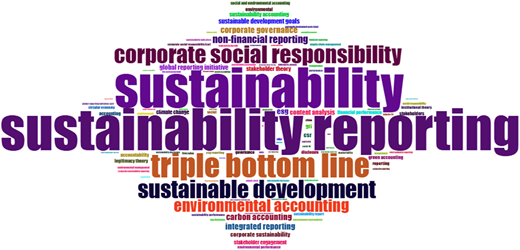 A word cloud of sustainability terms dominated by “sustainability”, “sustainability reporting”, and “triple bottom line”.