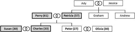 Figure 2 Refer to the image caption for details.