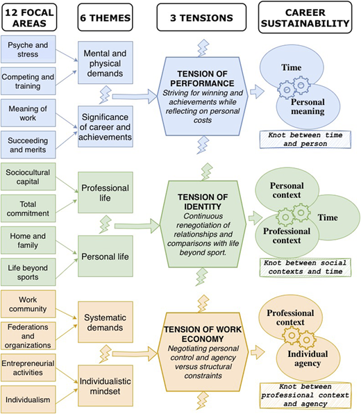 A conceptual diagram illustrating the factors influencing career sustainability, divided into 12 focal areas, 6 themes, 3 tensions, and their interrelationships.