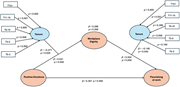 Structural model of T1 data. Source(s): Authors’ own work