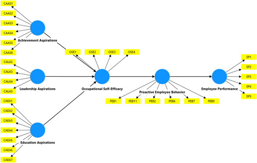 A theoretical model links aspirations, self-efficacy, proactive behavior, and performance with arrows and indicators.