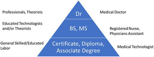 A pyramid diagram showing education levels and corresponding professions.