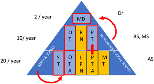 A pyramid diagram illustrating educational pathways and industry needs.