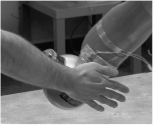 Figure 1 Refer to the image caption for details.