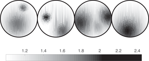Figure 2. Refer to the image caption for details.