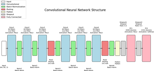 A convolutional neural network structure moves from input through 6 convolution blocks, pooling, flattening, dropout, and 2 fully connected layers.