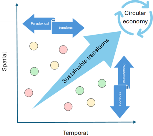 A conceptual diagram depicts Spatial versus Temporal axes with arrows showing paradoxical tensions, sustainable transitions, and a circular economy pathway.
