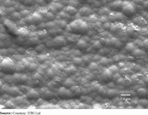 Figure. Refer to the image caption for details.