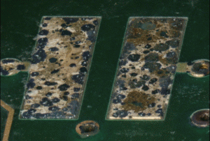 Figure. Refer to the image caption for details.