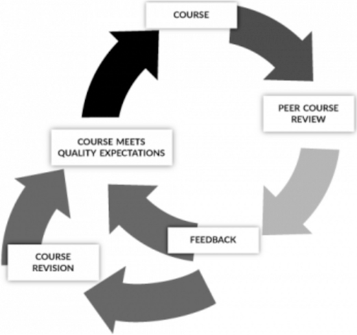 A cycle diagram showing course design steps course, peer review, feedback, revision, and meeting quality expectations.