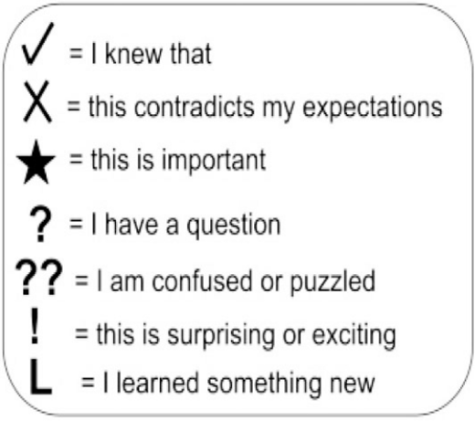 A list of questions designed to aid students in comprehending the meaning of a specific word.