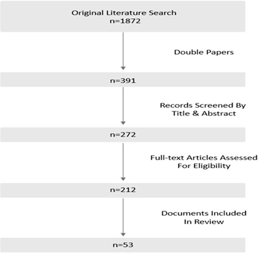 A flowchart of a literature search process shows a series of rectangular boxes and arrows. The top box is labeled Original Literature Search with 1872 entries, and the bottom box is labeled with fifty three entries.