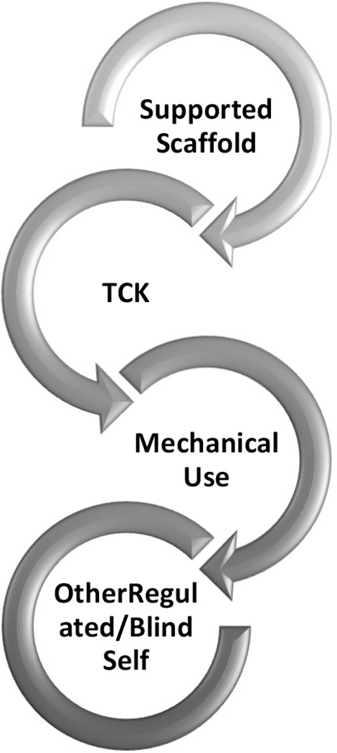 A looping sequence of four sections with arrows forming S shape. The top is Supported Scaffold, which flows into T C K. This flows into Mechanical Use, which then flows into Other Regulated slash Blind Self. Final section loops back to the beginning.