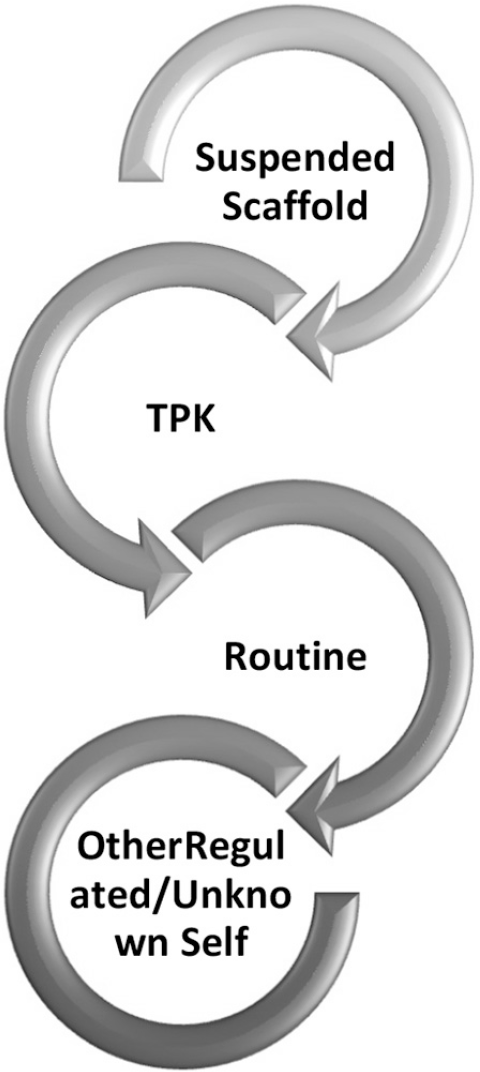 A looping sequence of four marked sections with arrows forming S-shape. First section is Suspended Scaffold, which flows into T P K. This flows into Routine. Then flows to Other Regulated slash Unknown Self. Last section loops back to the beginning.