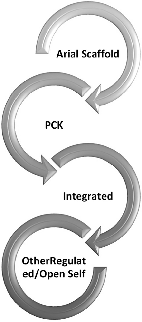 A looping sequence of 4 marked sections with arrows forming S shape. First section is Suspended Scaffold, which flows into T P K. This flows into Routine. Then flows into Other Regulated slash Unknown Self. Last section loops back to the beginning.
