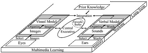 A diagram of a multimedia learning model showing visual and verbal channels with sensory inputs, organizing processes, a central executive, integration, and links to prior knowledge.