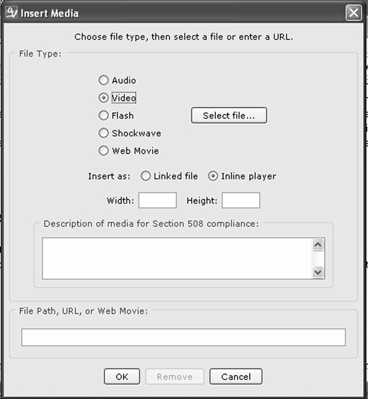 Insert Media dialog box with file type options, Video selected, and input fields for Section 508 compliance.