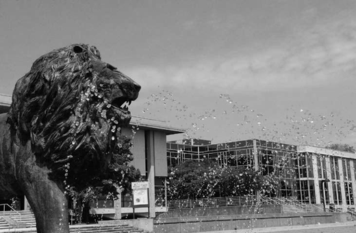 Black and white photo of a lion head sculpture fountain in front of modern buildings with glass windows, staircase, and signboard, likely on a university or institutional campus.