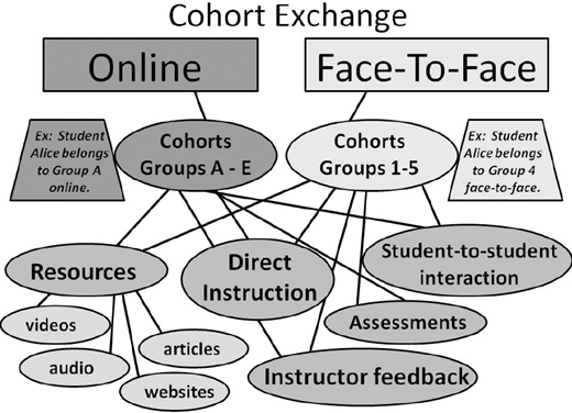 A diagram titled Cohort Exchange showing two main branches labeled Online and Face to Face.