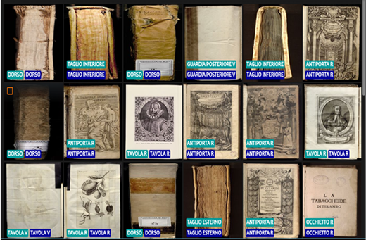 A grouped set of book parts showing varied surfaces and labelled terms including D O R S O, T A G L I O inferiore, T A V O L A R, T A V O L A V, and A N T I P O R T A R.