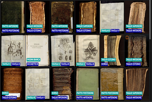 A grid of old book parts labeled with terms for covers, edges, spines, pages, and illustrations, showing many orientations and labeled sections across multiple rows.
