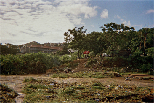 A photograph of a landscape with trees, vegetation, scattered debris, flowing water, and buildings in the background.