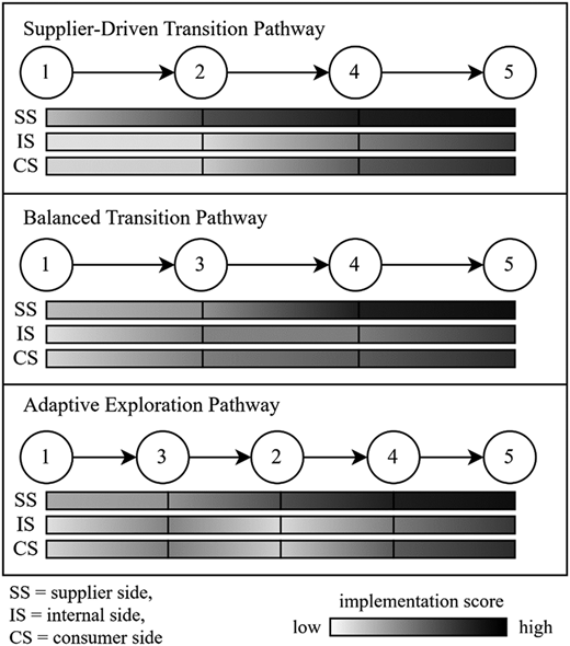 A flow diagram shows three digital transition pathways with state sequences and shaded bars.