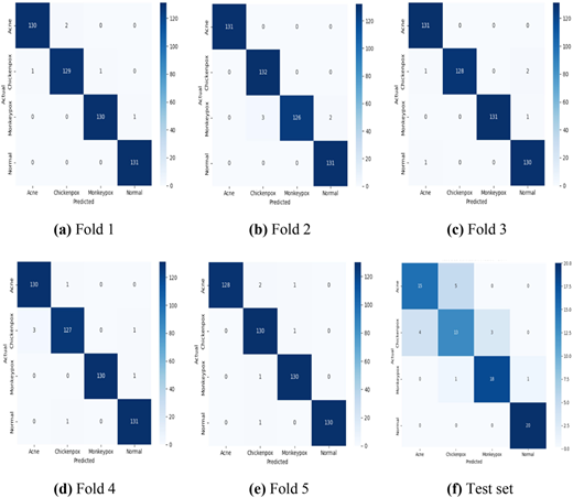A multi-panel figure shows confusion matrices for five cross-validation folds and a test set across four skin classes.