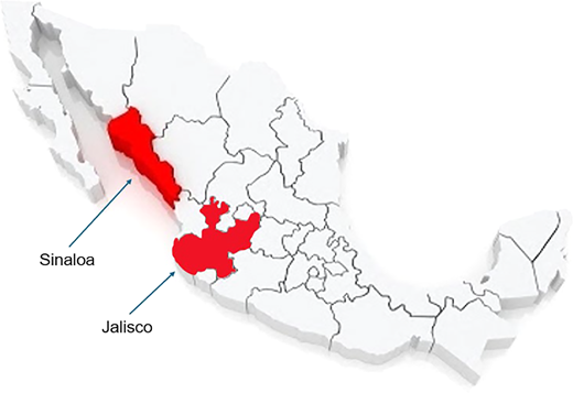 A map of Mexico highlights the western states of Sinaloa and Jalisco with shading and arrows, while the remaining states are shown with outlined boundaries in a three dimensional perspective.