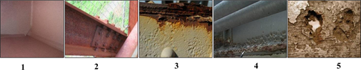 Plate 1. Refer to the image caption for details.
