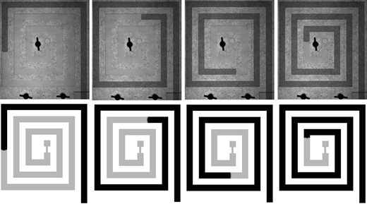 Figure 10 Refer to the image caption for details.