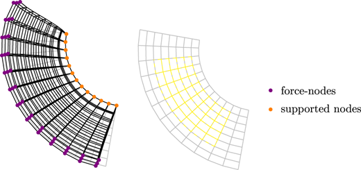 A curved mesh structure with force-nodes and supported nodes, shown in grid pattern views.