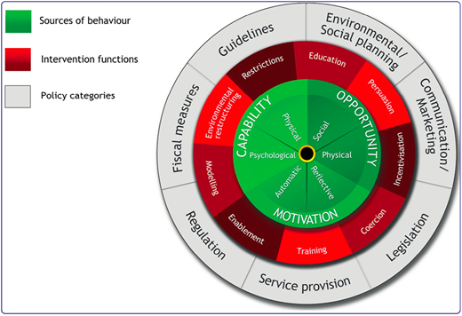 A figure illustrates the connection between behaviour sources, intervention functions, and policy categories.