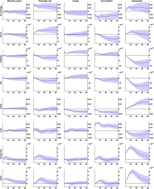 A figure shows impulse response functions of the exogenous shocks (columns) on the observable factors Y t.