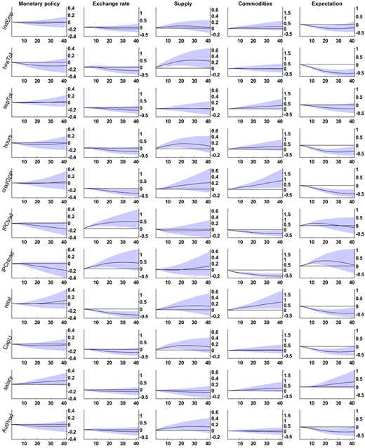 A figure shows impulse response functions of exogenous shocks (columns).