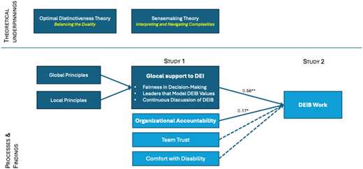A model details the theoretical underpinnings, processes, and findings across two studies concerning D E I B.