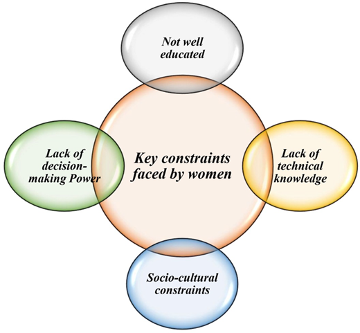 Figure 2. Refer to the image caption for details.