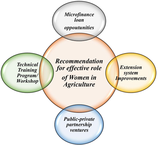 Figure 3. Refer to the image caption for details.