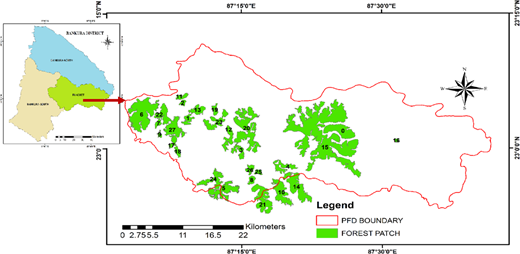 Figure 1. Refer to the image caption for details.