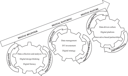An illustration shows the progression in digital innovations in the D T M process, from beginner to mature.