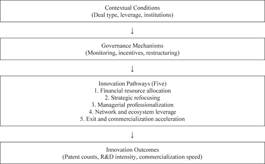 A flowchart shows the linear progression from contextual conditions to innovation pathways and outcomes.