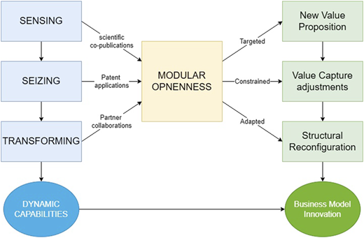 A model showing sensing, seizing, and transforming leading to modular openness and business model innovation.